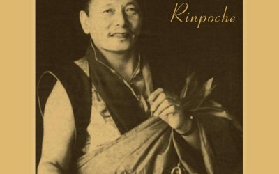 Amrita of Eloquence – A Biography of Khenpo Karthar Rinpoche